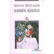 airin Kedisi Can Yaynlar